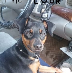 Meet your Posher, May